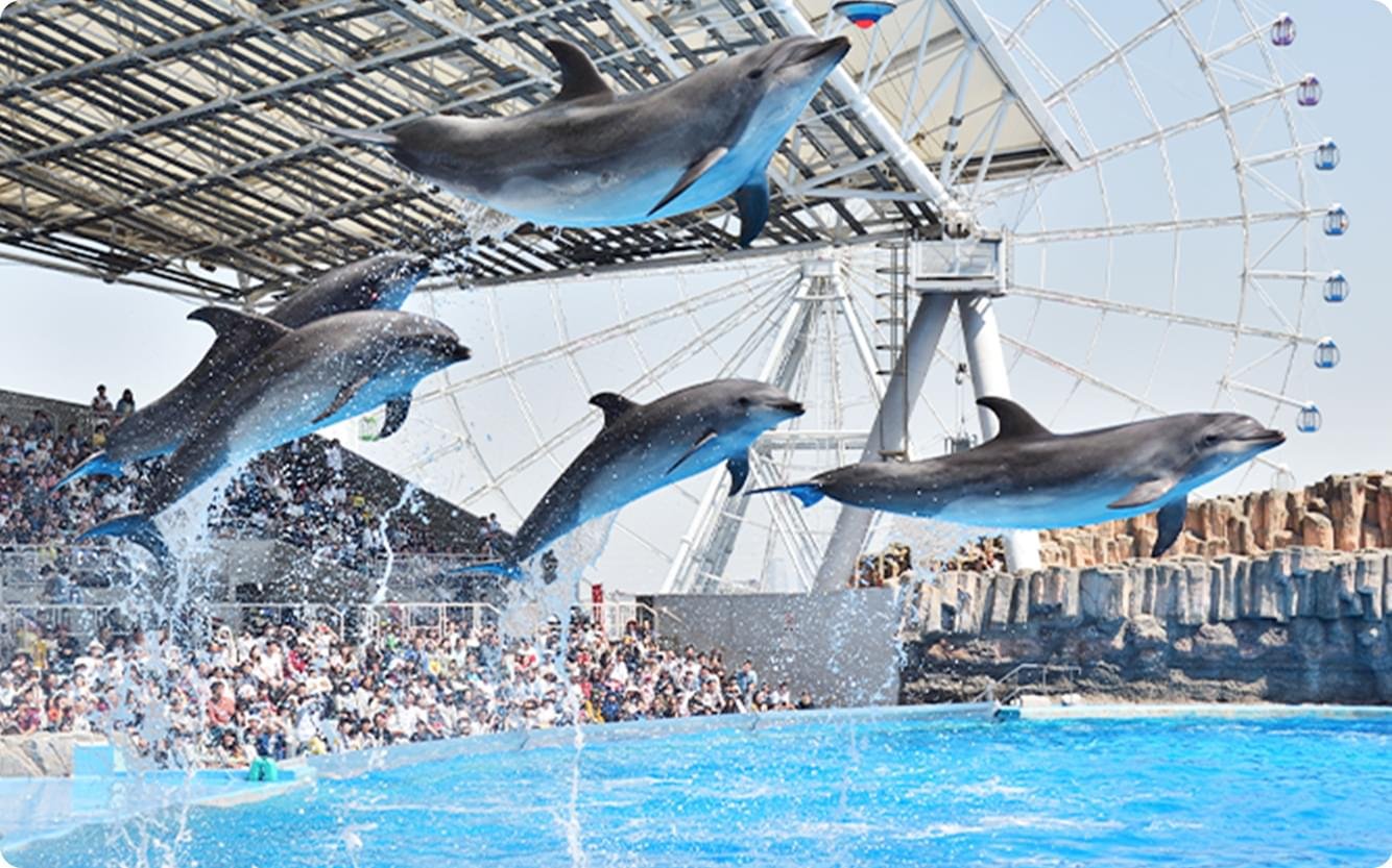 🐠 나고야항 수족관